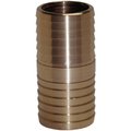 Ashland Water Group 1/2" Brs Ins Coupling IC50NL